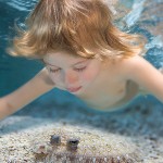 13 nebesnoe.info  150x150  .     (Zena Holloway)