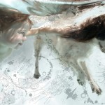 19 nebesnoe.info  150x150  .     (Zena Holloway)