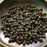 black pepper nebesnoe.info  160x160 Интересное о специях. Специи для похудения.